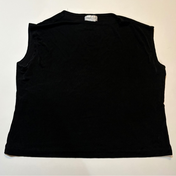 Coldwater Creek Tops - Coldwater Creek Vintage 90s Black Slinky Stretch Tank Top XL Minimalist